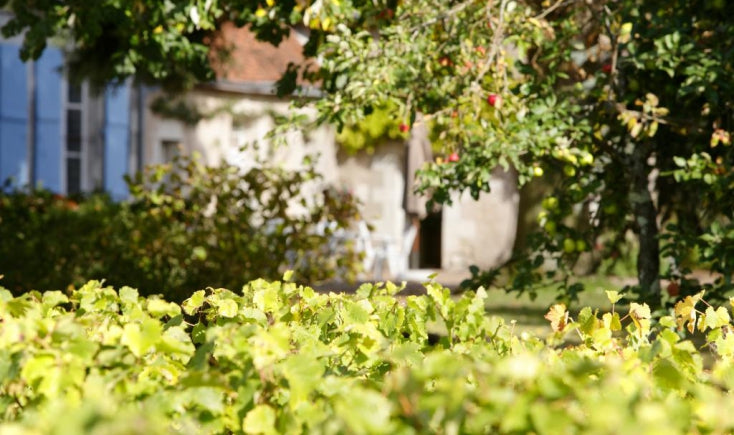 SERRE fontainerie vouvray wine france