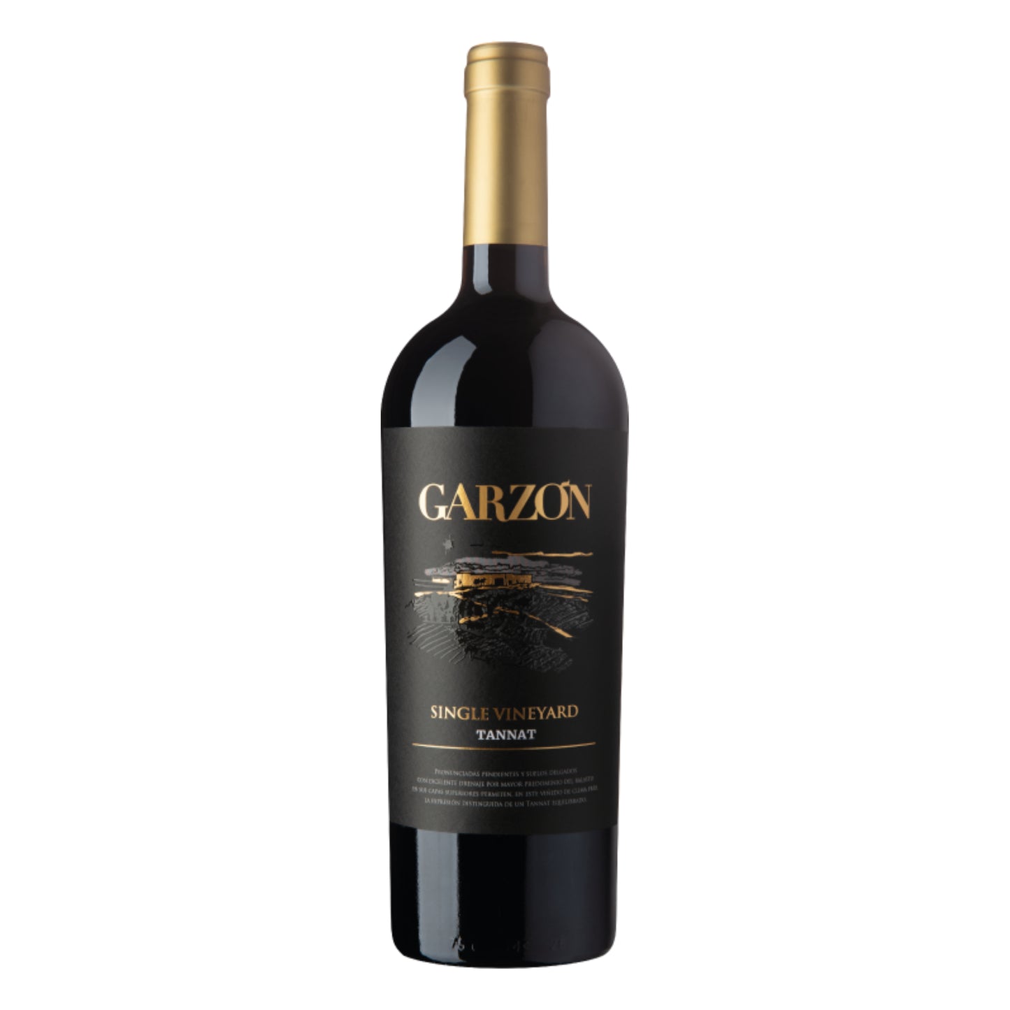 Bodega Garzon Single vineyard Tannat uruguay red wine new