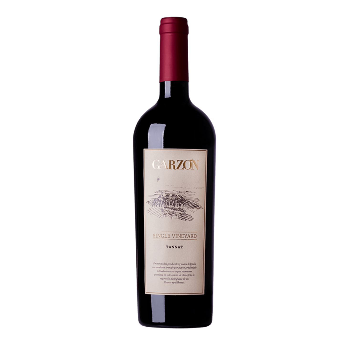 Bodega garzon single vineyard tannat maldonado uruguay red wine