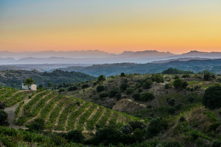 SERRE_gratavinum_priorat_vineyards_wine_spain