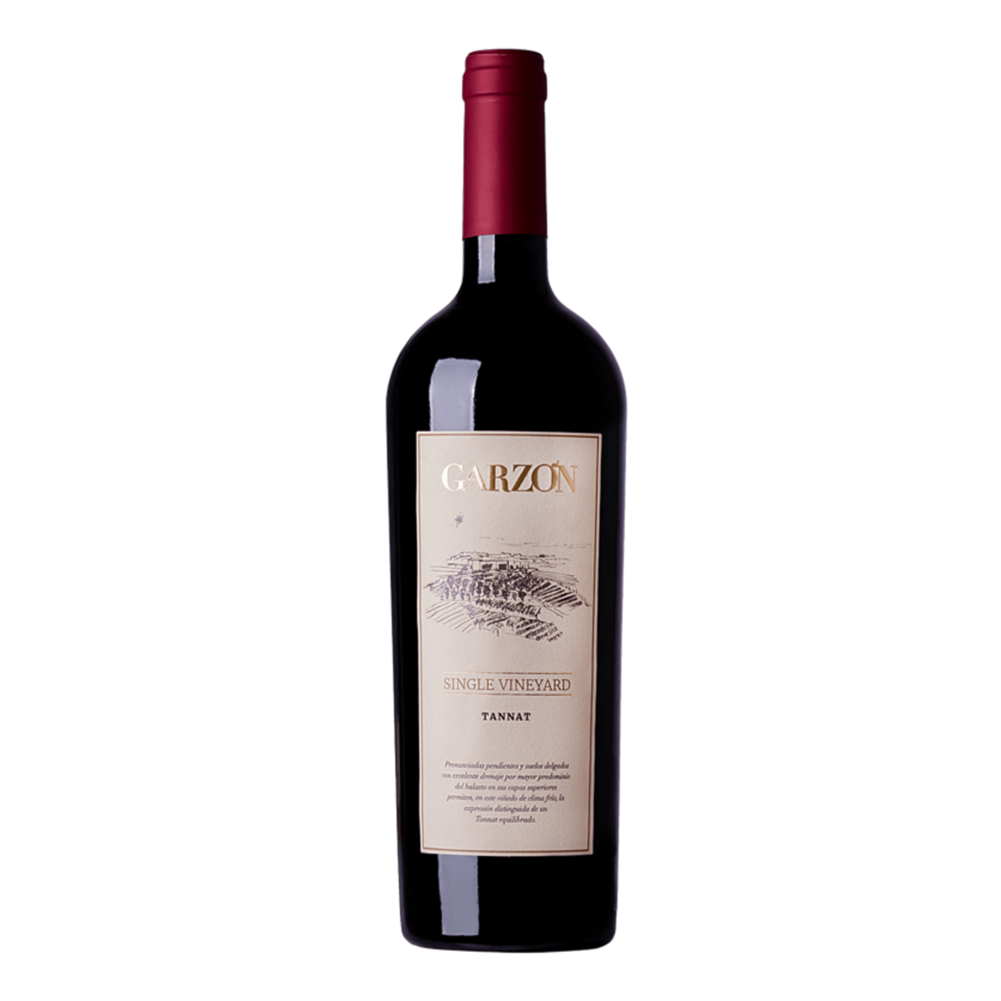 Bodega garzon single vineyard tannat maldonado uruguay red wine