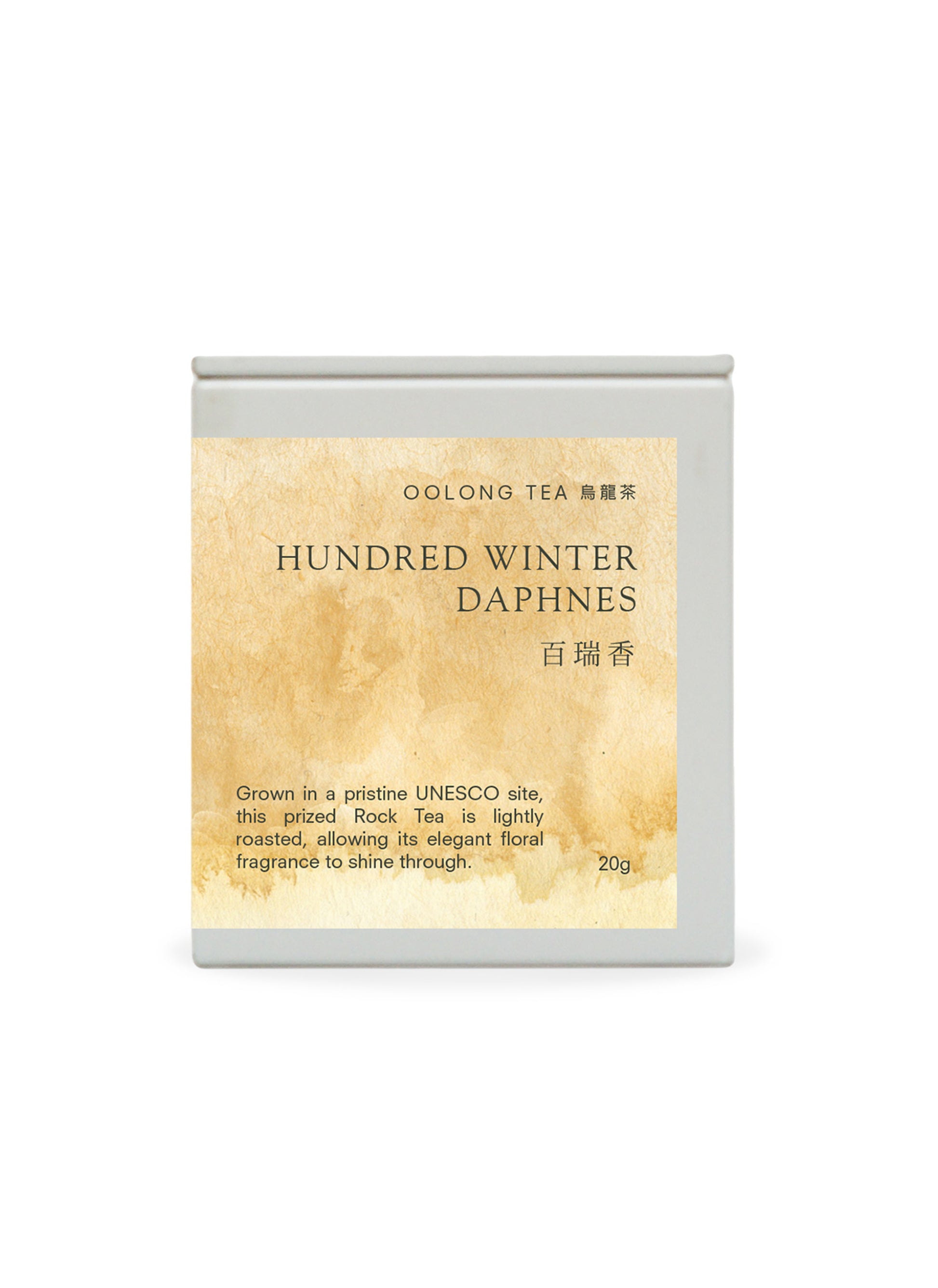 Plantation Tin Hundred Winter Daphnes Main