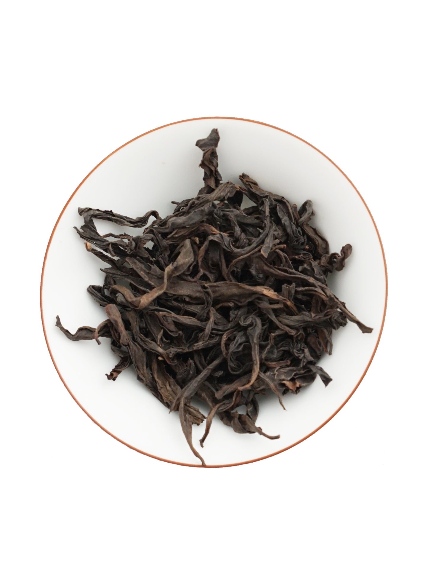 Plantation Tin Hundred Winter Daphnes Secondary