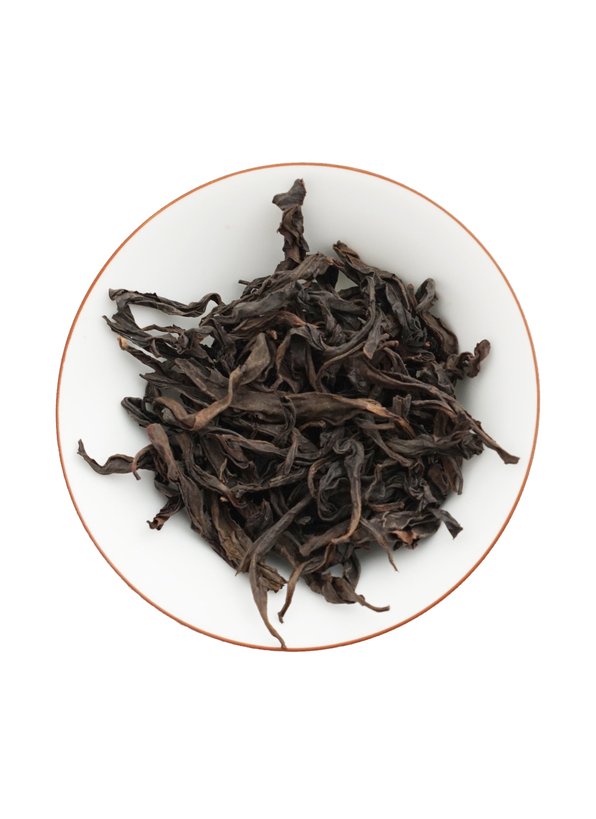 Plantation Tin Hundred Winter Daphnes Secondary