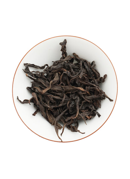 Plantation Tin Hundred Winter Daphnes Secondary