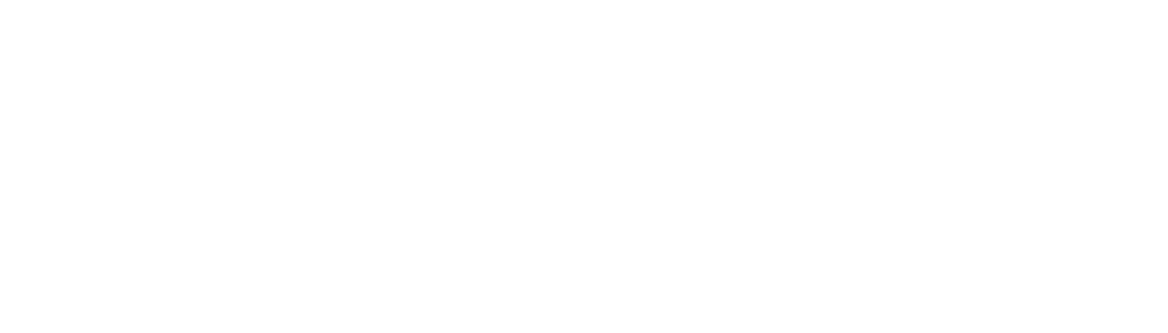 Age Verification Icon