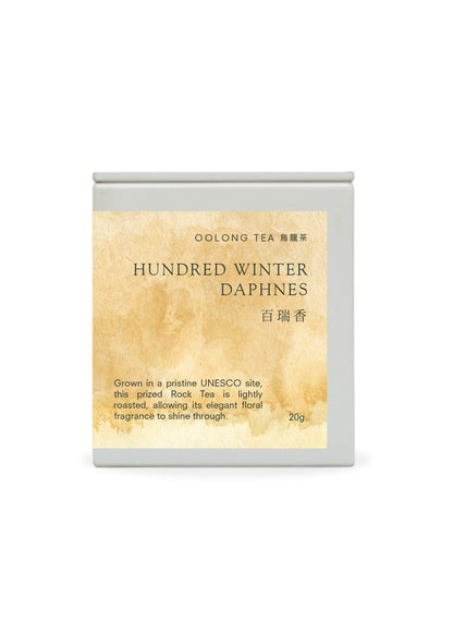 Hundred Winter Daphnes  百瑞香